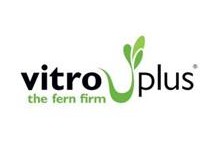 Vitro Plus — the fern firm